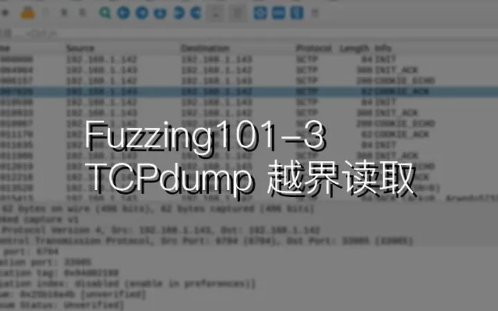 Fuzzing101-3：TCPdump
